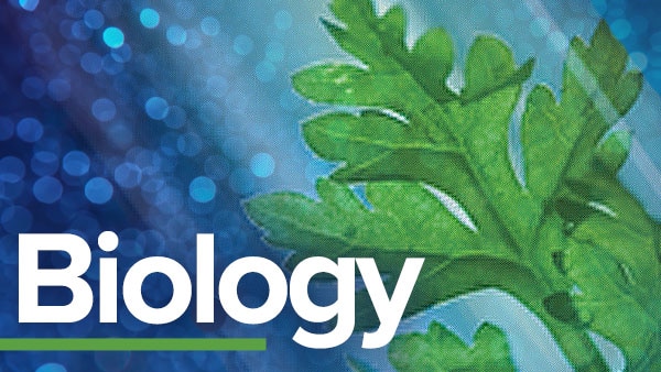 ib生物怎么提高？注意這些學習方法！